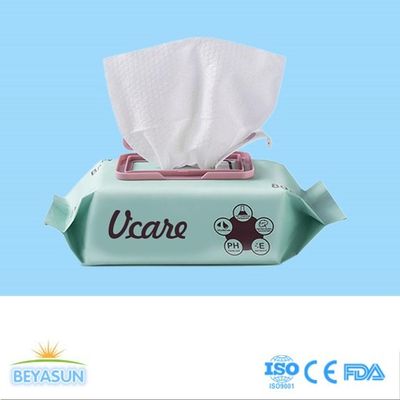 Antibacterial Disinfectant Disposable Wet Wipes For Home